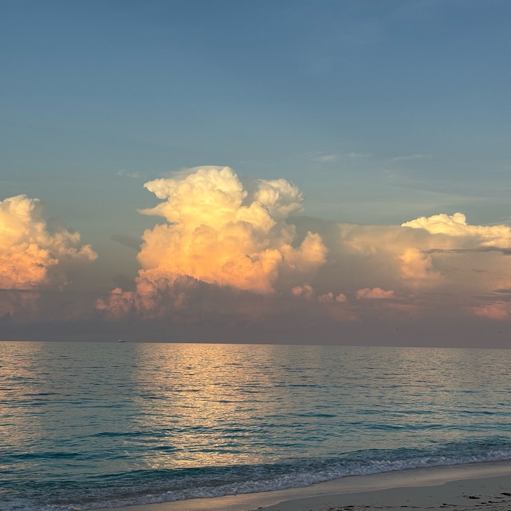 Meet your Posher, Paul